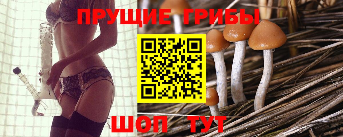 Галлюциногенные грибы мицелий Тында