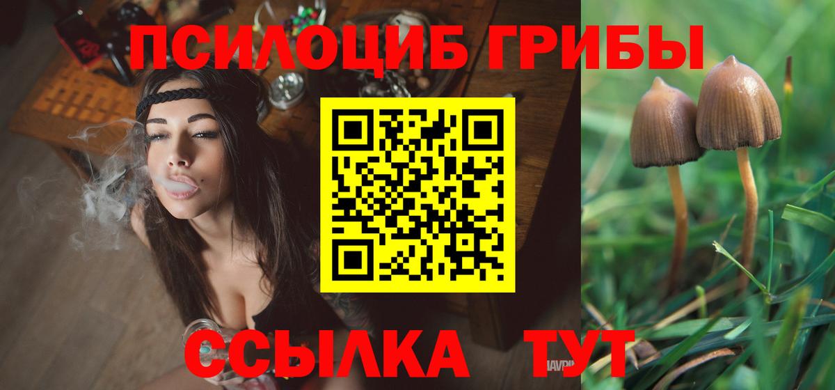 сколько стоит  Псилоцибиновые грибы GOLDEN TEACHER  Вход с VPN  Тында 